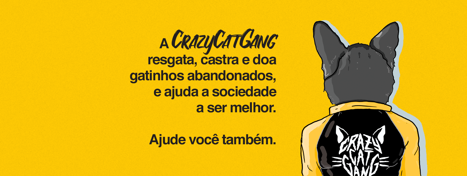 ONG Adoção de gatinhos Curitiba