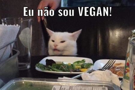 Não existe gato vegan